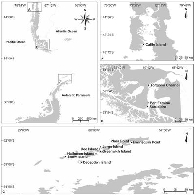 Variations on primary metabolites of the carrageenan-producing red algae Sarcopeltis skottsbergii from Chile and Sarcopeltis antarctica from Antarctic Peninsula
